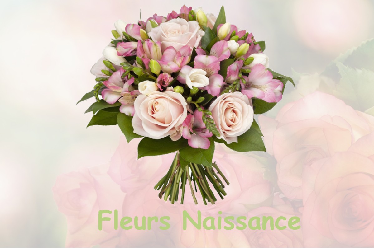 fleurs naissance NANS-SOUS-SAINTE-ANNE